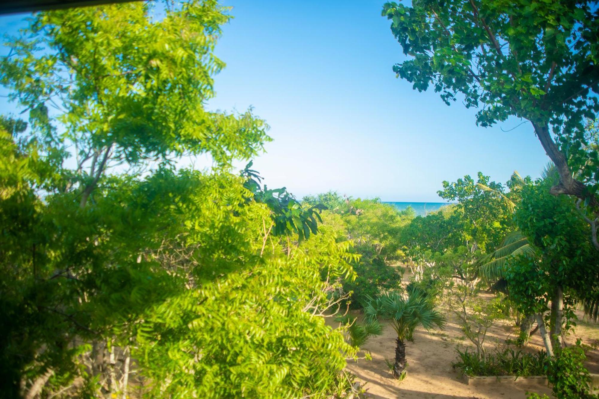 Nikara Luxury Beach House Tissamaharama Zewnętrze zdjęcie